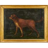 English School, late 18th/early 19th century, oil on canvas - a favourite terrier, inscribed verso