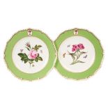 Fine pair Early 19th century Bloor Derby botanical subject dessert plates with Marquess's coronet ab