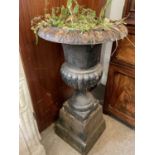 Pair of cast iron campana urns