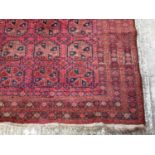 Afghan Belouche rug with three rows of seven quartered medallions