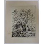 John Crome 1768-1821 soft-ground etching on chine collé laid to wove support published 1834 edition