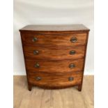 Regency mahogany bow front chest of four long drawers with oval brass handles, on bracket feet