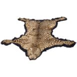 Early 20th century leopard skin rug with full head mount on black felt backing