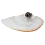 Silver mounted shell caviar dish