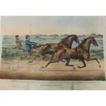 Mid 19th century hand coloured lithograph - The Celebrated Trotting Stallions "Ethan Allen" and "Geo