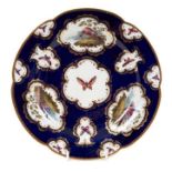 A Flight, Barr and Barr Worcester plate, painted with birds and insects, on a blue scale ground, cir