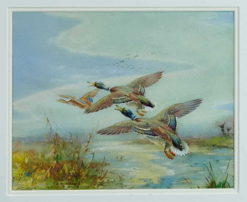 *William E. Powell (1878 - 1955), three watercolours - Mallards, each signed, 22cm x 28cm and 20cm x - Image 4 of 7
