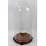 Large glass dome on turned wooden base