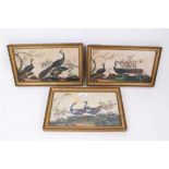 Set of three 19th century Chinese pith paintings depicting exotic birds.