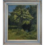 Laurence Self (b. 1924) oil on canvas, Elder Tree, signed, 61 x 51cm, framed