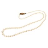 Cultured pearl necklace with a string of graduated cultured pearls on gold clasp