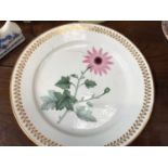 A Chamberlain’s Worcester botanical plate, a Spode sauce tureen and cover and other items