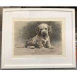 Herbert Dicksee etching- Puppy, in glazed frame