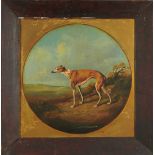 English School, early 19th century, oil on panel - A Greyhound, 36cm x 35cm, framed