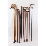 Collection of antique walking sticks, Victorian and later, together with an antique horn and gilt mo