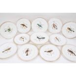 Collection of 19th century ornithological painted dishes