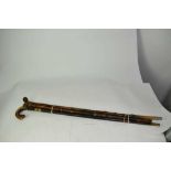 19th century sword stick, horse measuring stick and others (5)