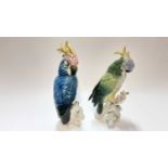 Two Karl Ens porcelain Cockatoo's