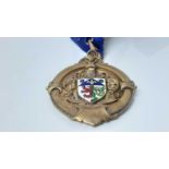 George VI silver and enamel Mayor or Past Mayors neck badge for Borough of Halesowen engraved to rev