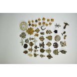 Collection of thirty plus military cap badges and pips to include Royal Marines, Army Chaplins badge