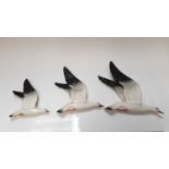 Set of three Beswick flying Seagull wall plaques, no 922-1, 922-2 and 922-3