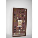 Collection of Victorian and later cap badges mounted in a glazed frame mainly for Artists Rifles and