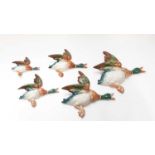 Set of five Beswick flying Mallards wall plaques, no 596/0, 596/1, 596/2, 596/3 and 596/4