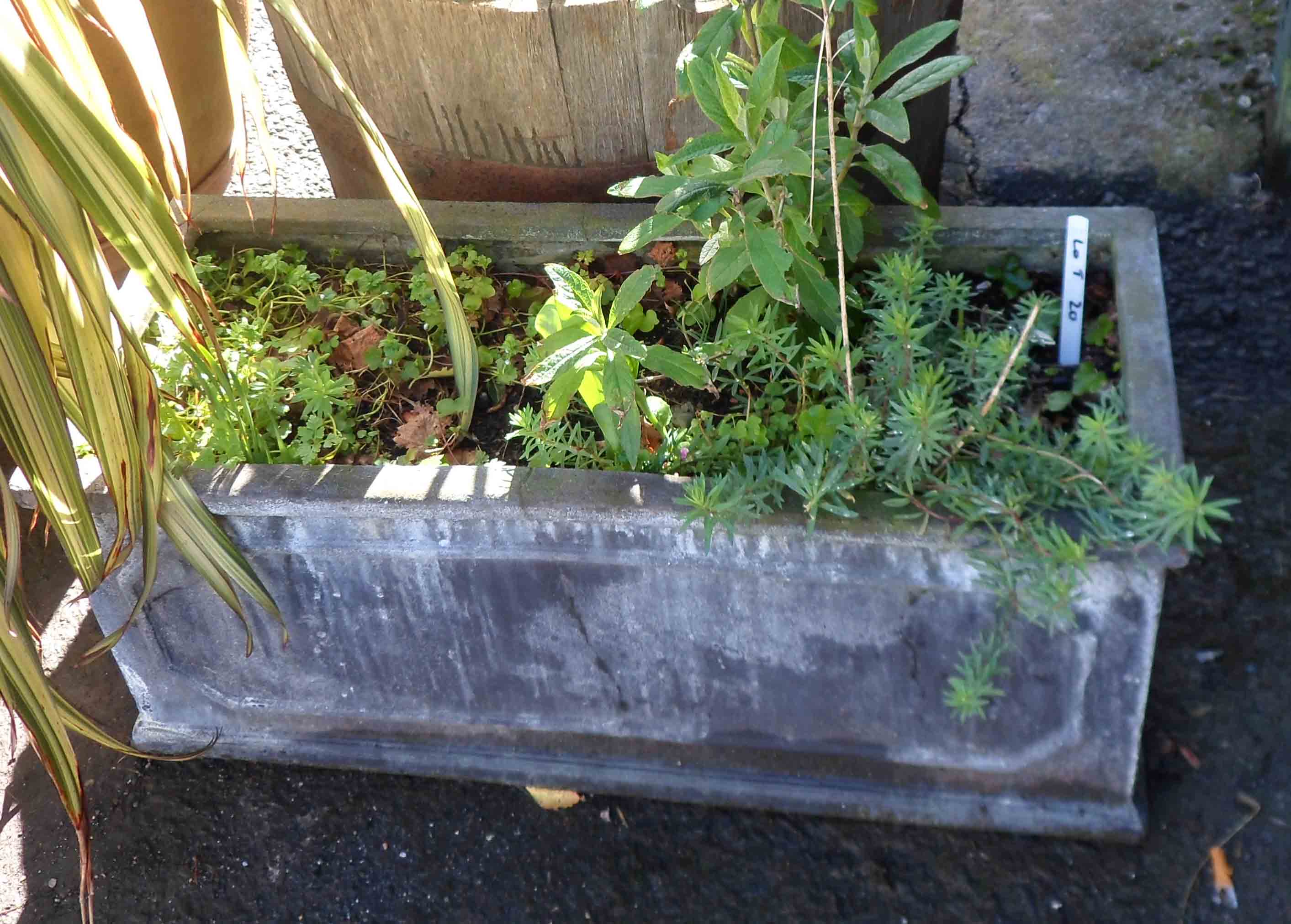 An oblong composite material planter of classical form with assorted garden plants