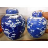An old Chinese porcelain ginger jar and lid decorated in blue and white with hand painted prunus