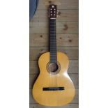 An Encore classical guitar in soft case