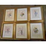 A set of six gilt framed Natural History Museum limited edition reprints of Redoute's floral studies