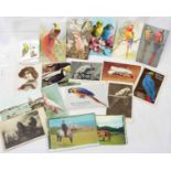 A small collection of early 20th Century and later postcards including birds and horses' examples,