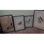 A framed small Oriental painting of white headed cranes - sold with three coloured bird study