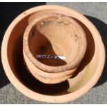 A large terracotta pot and three matching medium sized pots