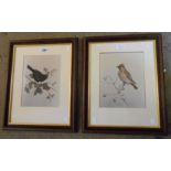 Roy Aplin: a pair of framed coloured bird study prints