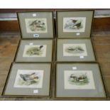 A set of six Hogarth framed ornithological study coloured prints