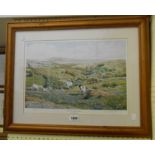 †David Young: a framed signed limited edition coloured print entitled 'West Dart Valley in Spring' -