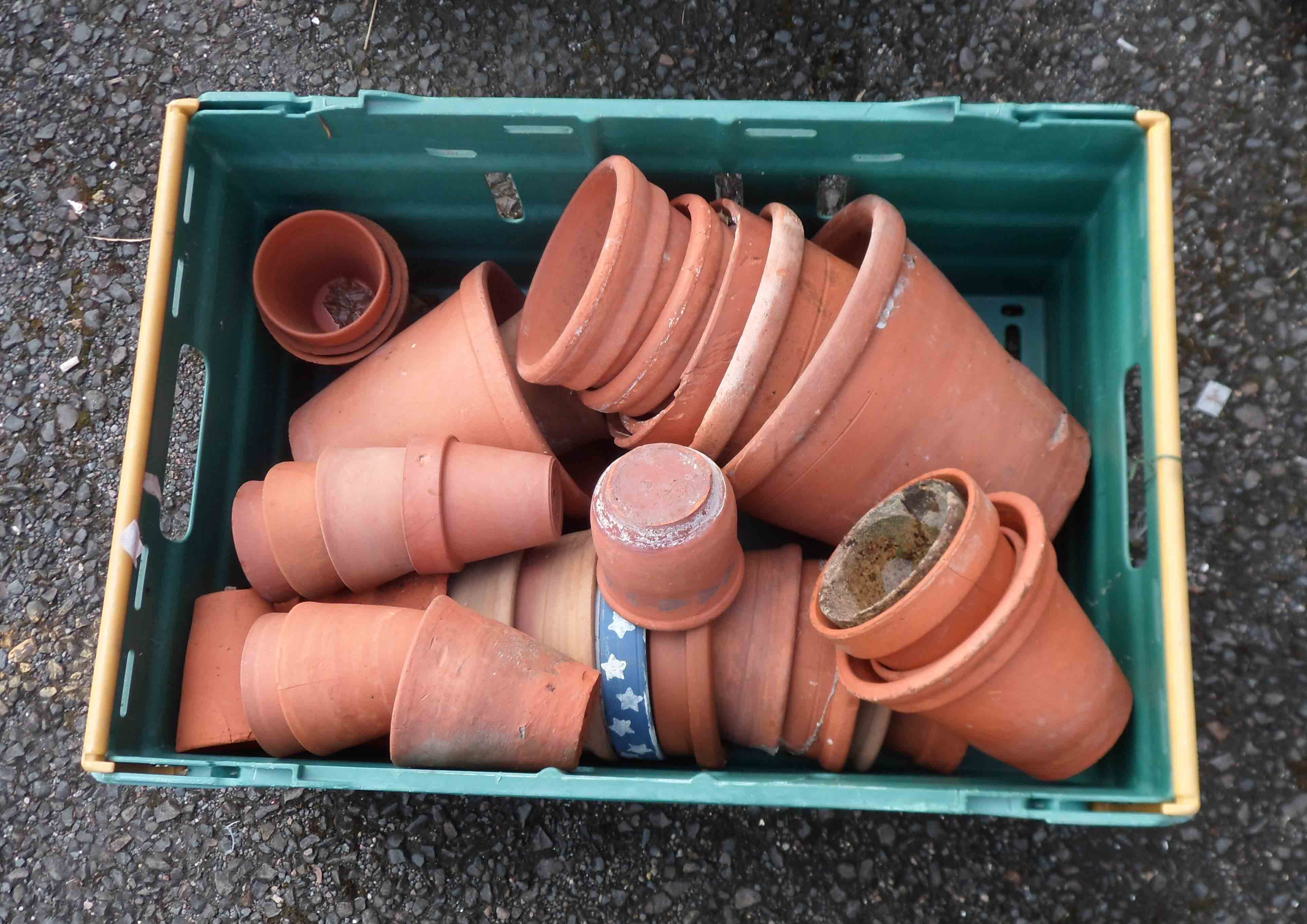 A crate containing a large quantity of terracotta garden pots