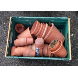 A crate containing a large quantity of terracotta garden pots