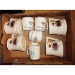 A box containing eight local pottery commemorative mugs including Toni Raymond, Babbacombe