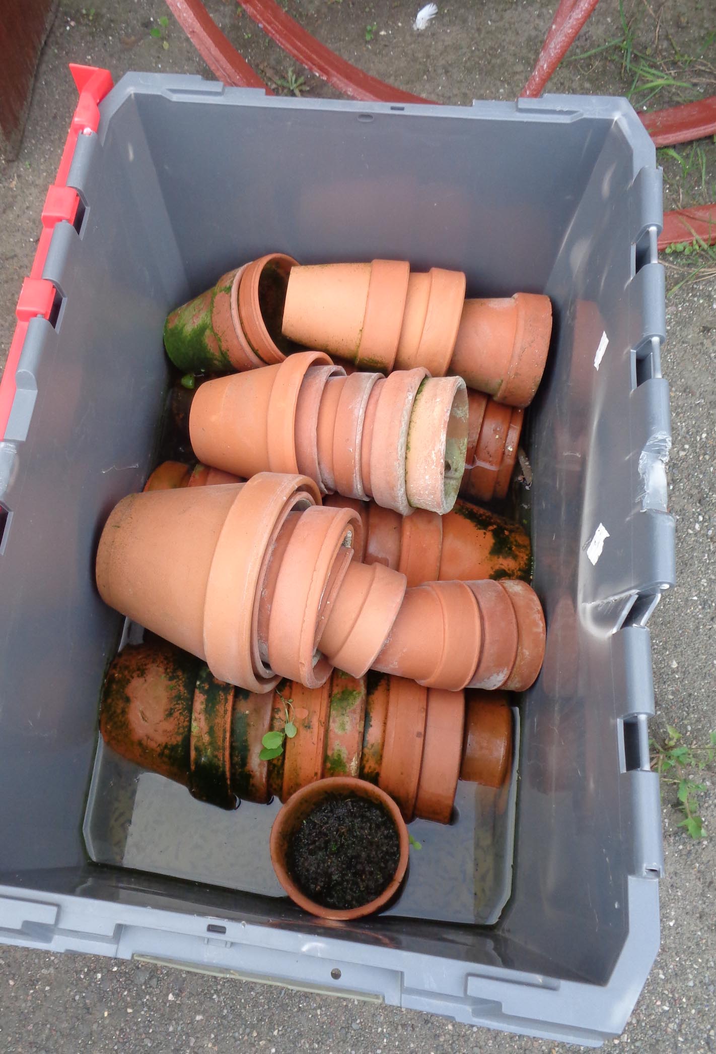 A crate containing a large quantity of terracotta garden pots