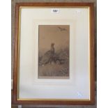 Archibald Thorburn: a framed monochrome engraving, depicting a cock and hen grouse - signed in