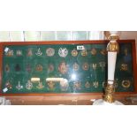 A wooden display case containing a quantity of military cap badges including The Manchester