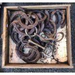 A tray containing a collection of horseshoes, etc.