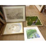 A selection of framed decorative prints including study of a lion, bluebell wood and stylised