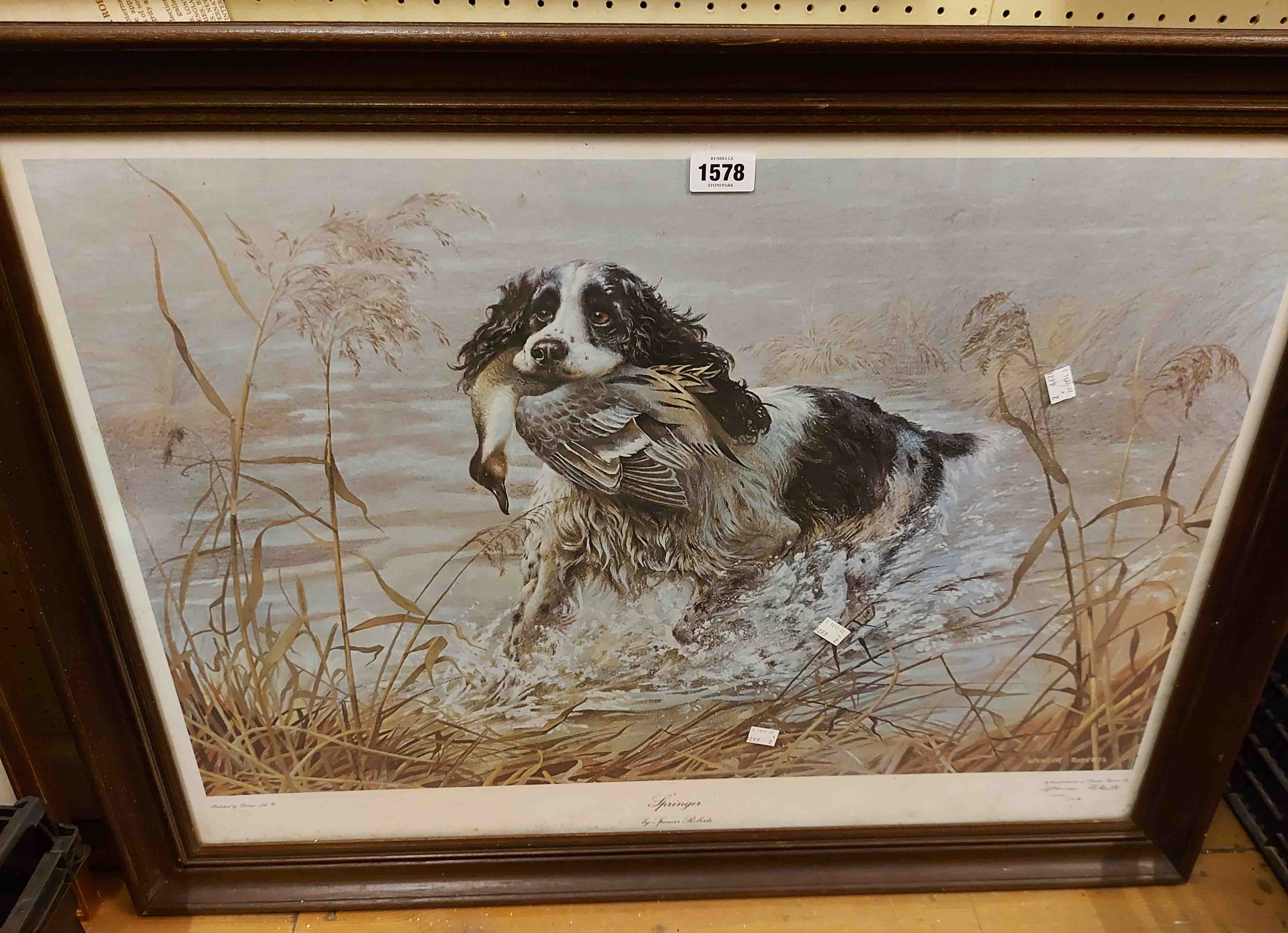 Spencer Roberts: a framed large format signed limited edition coloured dog print entitled 'Springer'