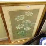 Stuart Maxwell Armfield: a watercolour floral study of Cow Parsley stems in bloom - signed - 57cm
