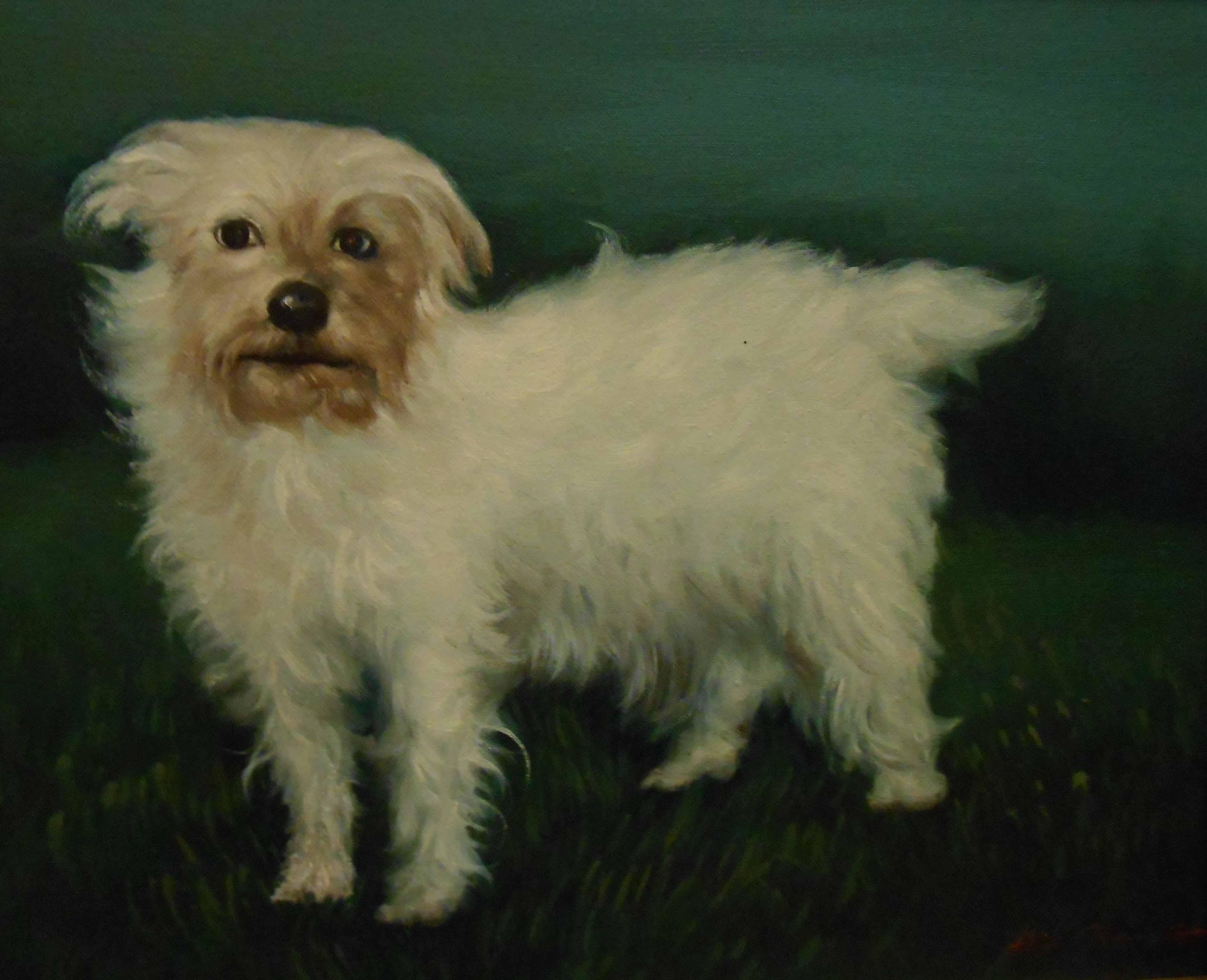 Bill Cheng: a modern gilt framed oil on canvas study of a white dog - signed - Image 2 of 4