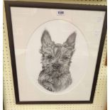 Carol Preston: a framed pencil and ink drawing study of 'Toby' the dog - signed and titled verso