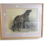 B. Gale: a framed charcoal and white chalk highlighted study of two dogs - signed and dated 1903